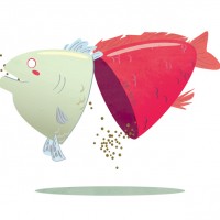 Illustration by Clarice Wong