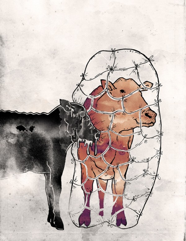 Illustration by Denys Korolenko