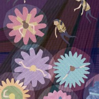 Illustration by Erica Glover
