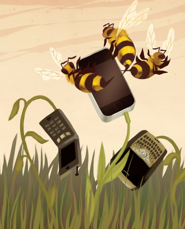 Illustration by Jennifer Ilett