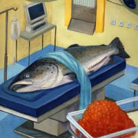 Illustration by Xiao Su