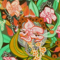 Illustration by Andrea Manica