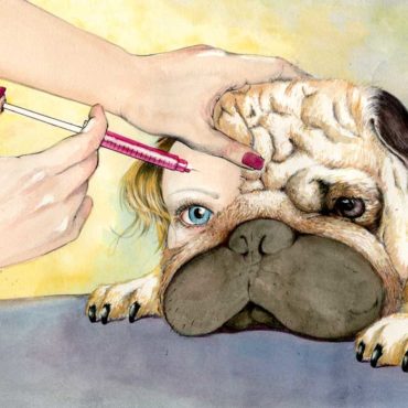 Illustration by Anita Thai