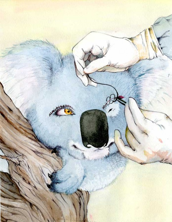 Illustration by Anita Thai
