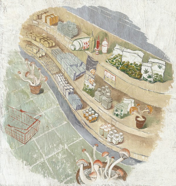 Illustration by Doran Woo