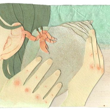 Illustration by Miki Sato