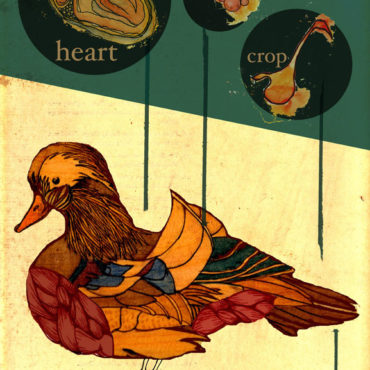 Illustration by Robin Richardson