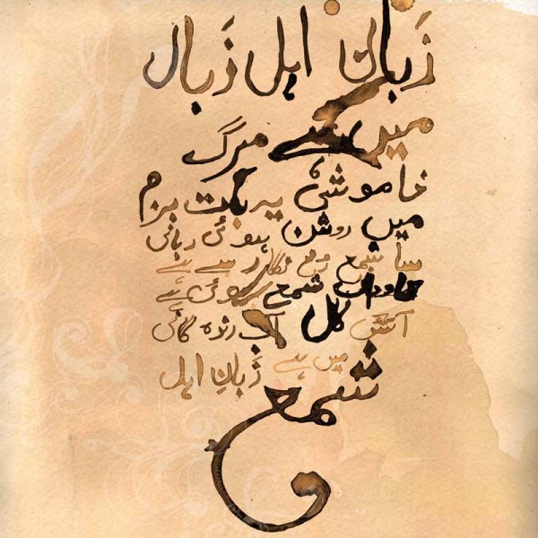 Illustration by Samia Taqi